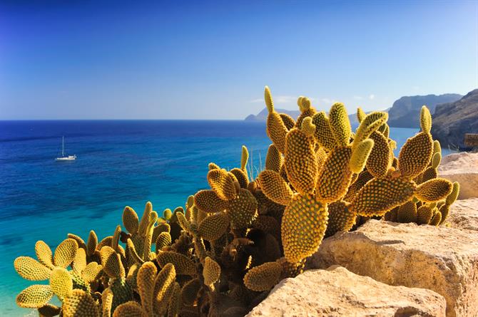 Cala de San Pedro - Cabo de Gata, Almeria