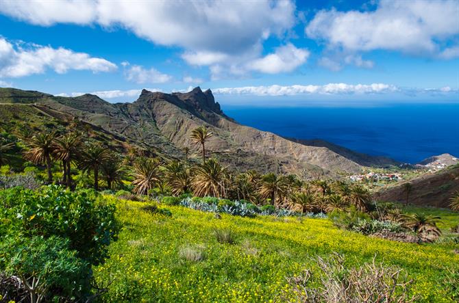 Alojera, på "outforskade" La Gomera