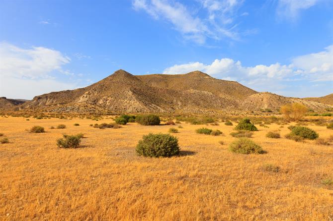 Tabernas desert, Almeria