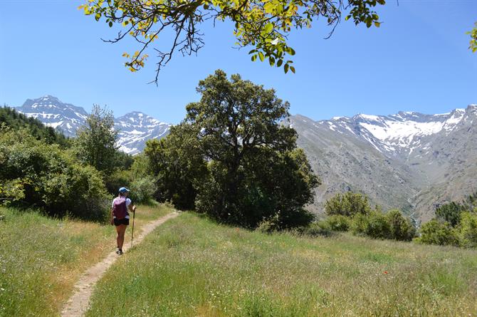 Vandring i Sierra Nevada