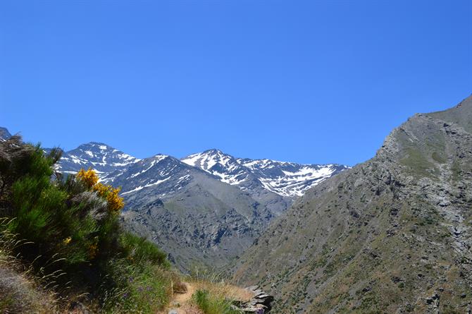 Vandretur i Sierra Nevada