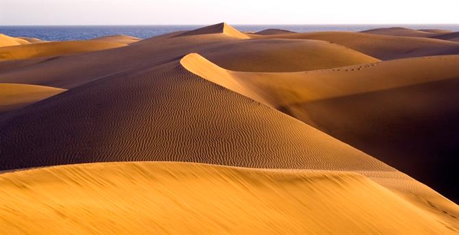 Maspalomas beach - Gran Canaria