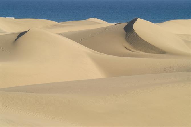 Sanddyner