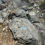 Path marking rocks 
