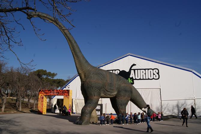 Dinopetra, dinosaur exhibition Torremolinos