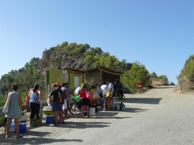 Bus stop Canuelo beach