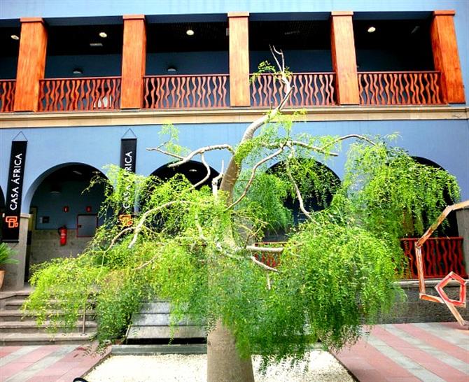 Casa África courtyard