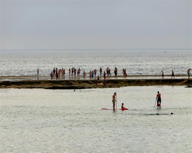 Las Canteras Barrier