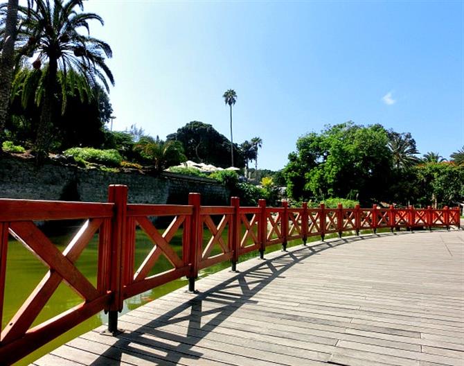 Parque Doramas pond