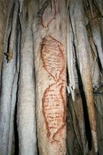 Seal paintings Nerja caves