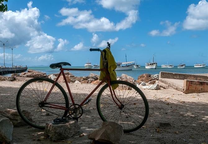 Cykla längs med kusten