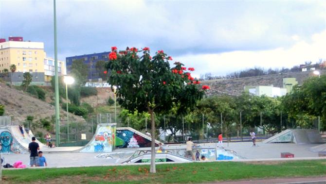 Las Rehoyas Skate Park