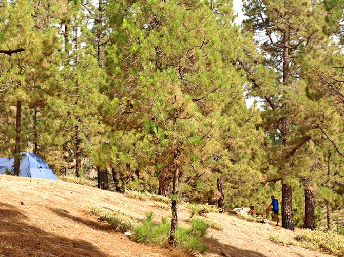 Camping à Vilaflor, Tenerife - îles Canaries (Espagne)