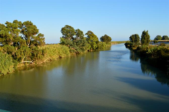Guadalhorce river