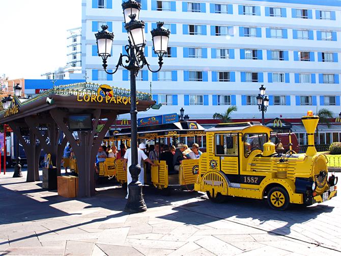 Loro Parque Train, Puerto de la Cruz