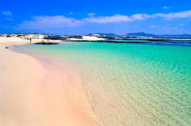 Playas de Fuerteventura - La Concha
