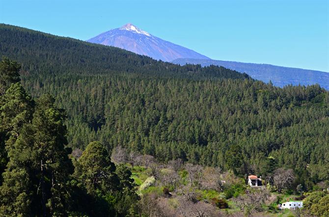 La Orotava Valley and Mount Teide, Tenerife
