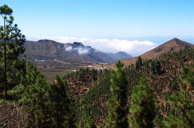 Valle de Santiago, Tenerife