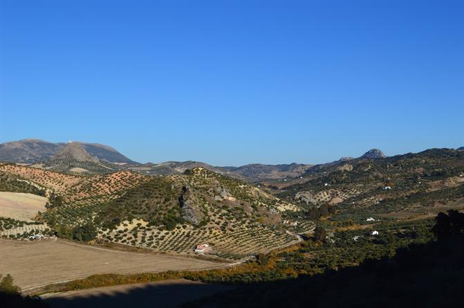 Landsbygden runt Cadizprovinsen