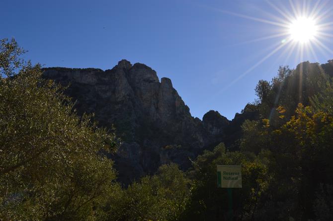 Peñón de Zaframagón - Andalousie (Espagne)