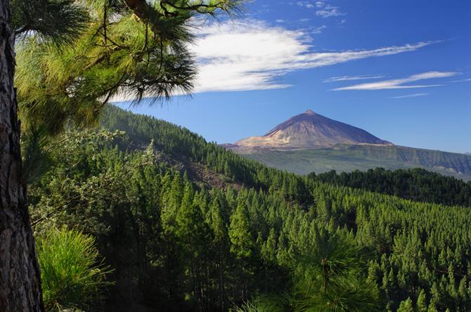 Wulkan Teide, Teneryfa, Wyspy Kanaryjskie