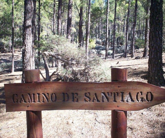 Camino de Santiago