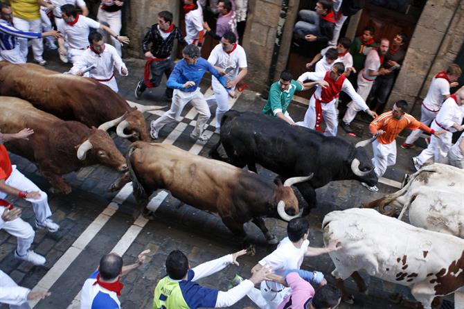 Bullenrennen zu San Fermin in Pamplona, Baskenland