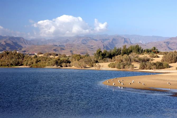 Gran Canaria - La Charca, Maspalomas