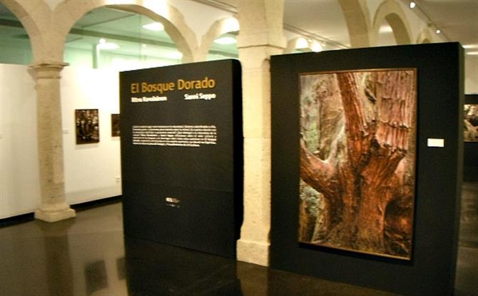 exhibition,photography