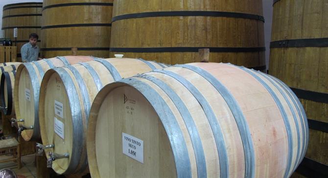 Wine barrels in Jalon