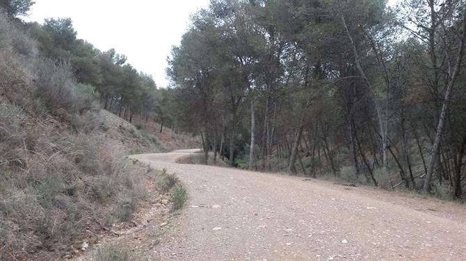 Montes de Malaga vandrerute