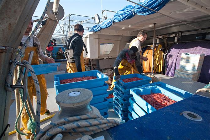 Fiskebåter i Port Andratx