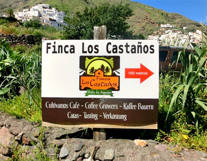 Finca Los Castaños