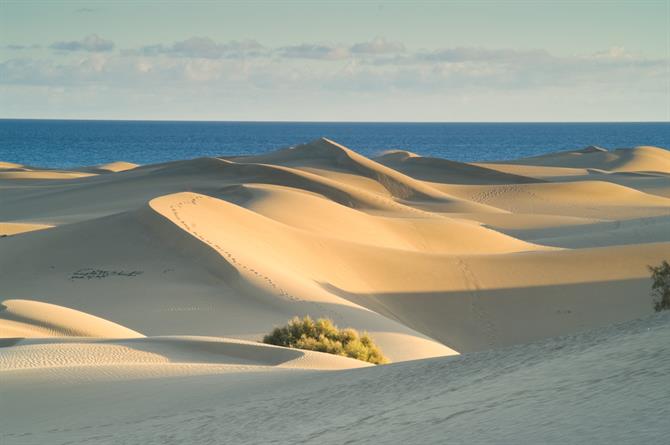 Las mejores playas de las Islas Canarias - Maspalomas (Gran Canaria)