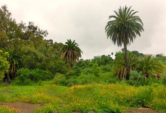 Parque Agrícola Guiniguada