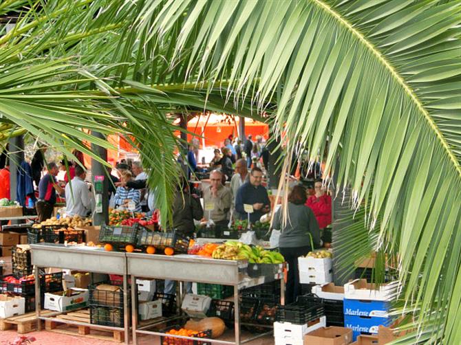 San Lorenzo farmers' market