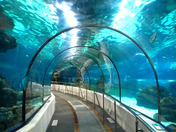 Sea life aquarium