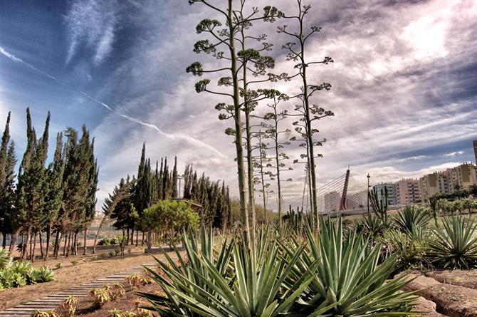 Parque urbano de La Ballena