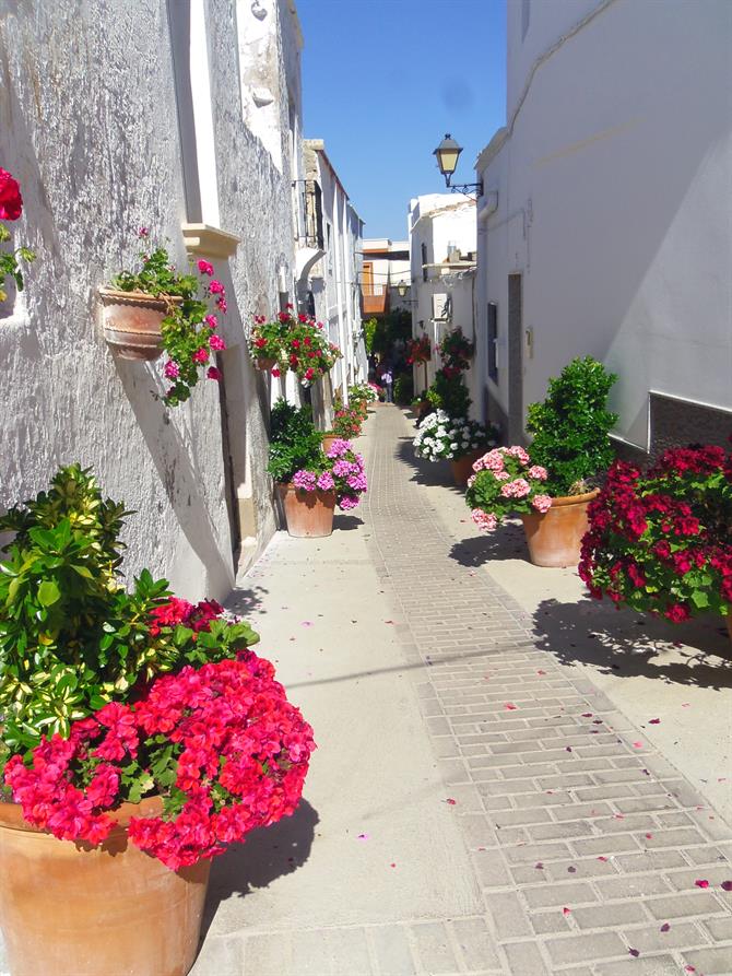 White-washed houses in Lucainena de las Torres in Almeria