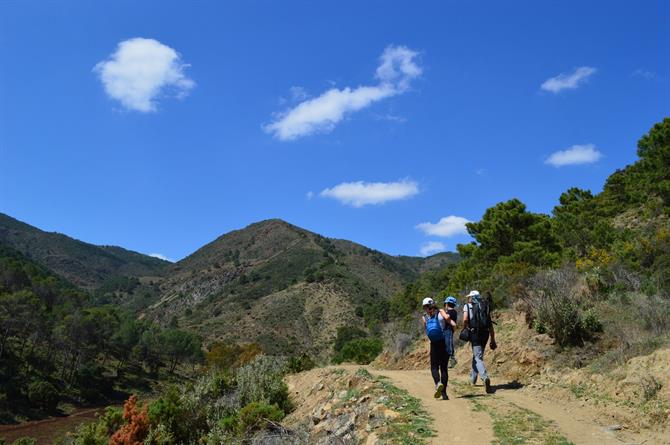 Hiking in Tolox, Sierra de las Nieves