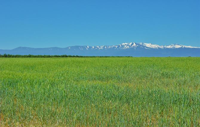 Oberhalb des Plateaus erhebt sich die Sierra Nevada