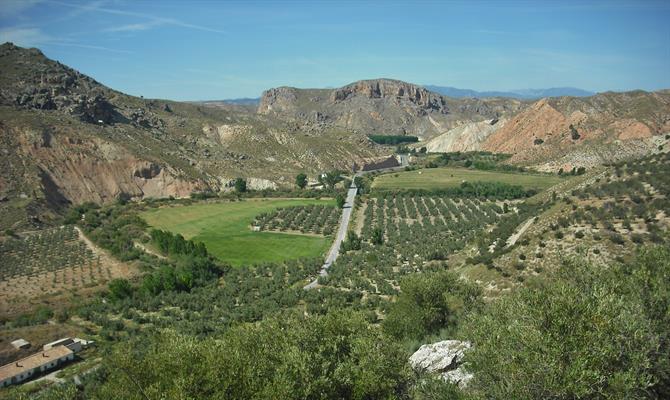 Green valley in Villanueva de las Torres