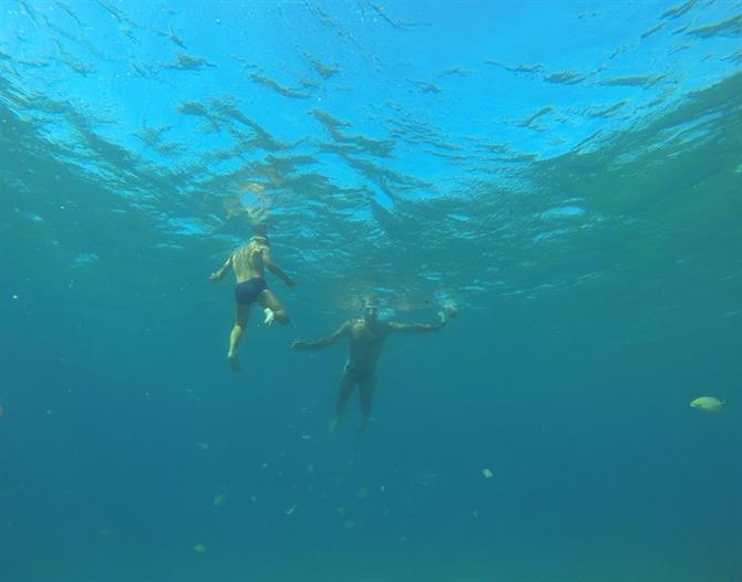 Swimming Costa Tropical 