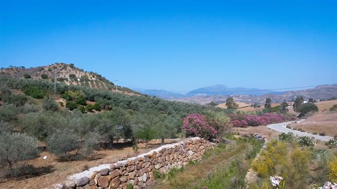 Alora Andalusien landskab