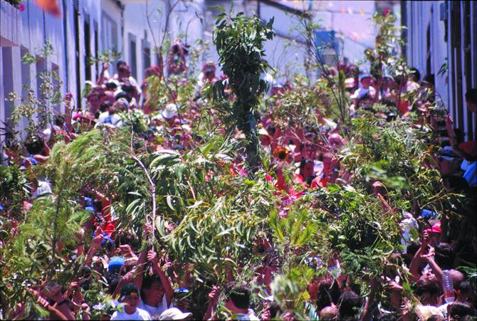 Fiesta de la Rama