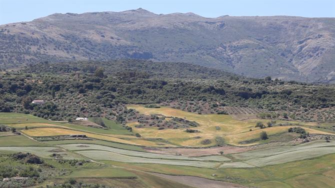 Utsikt over Rondas vinmarker, sett fra Descalzos Viejos vingård i Andalusia