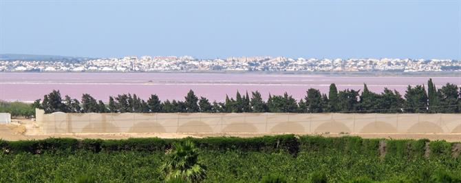 Laguna rosa de sal en Torrevieja