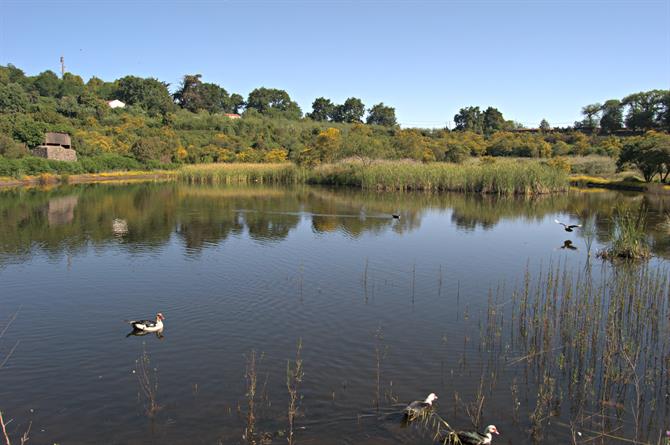 La Laguna de Valleseco