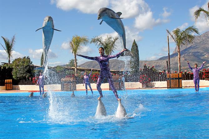 På Mundomar kan du se en delfinshow