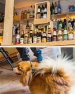 La Fourmi Interiør - Importert øl og hund
